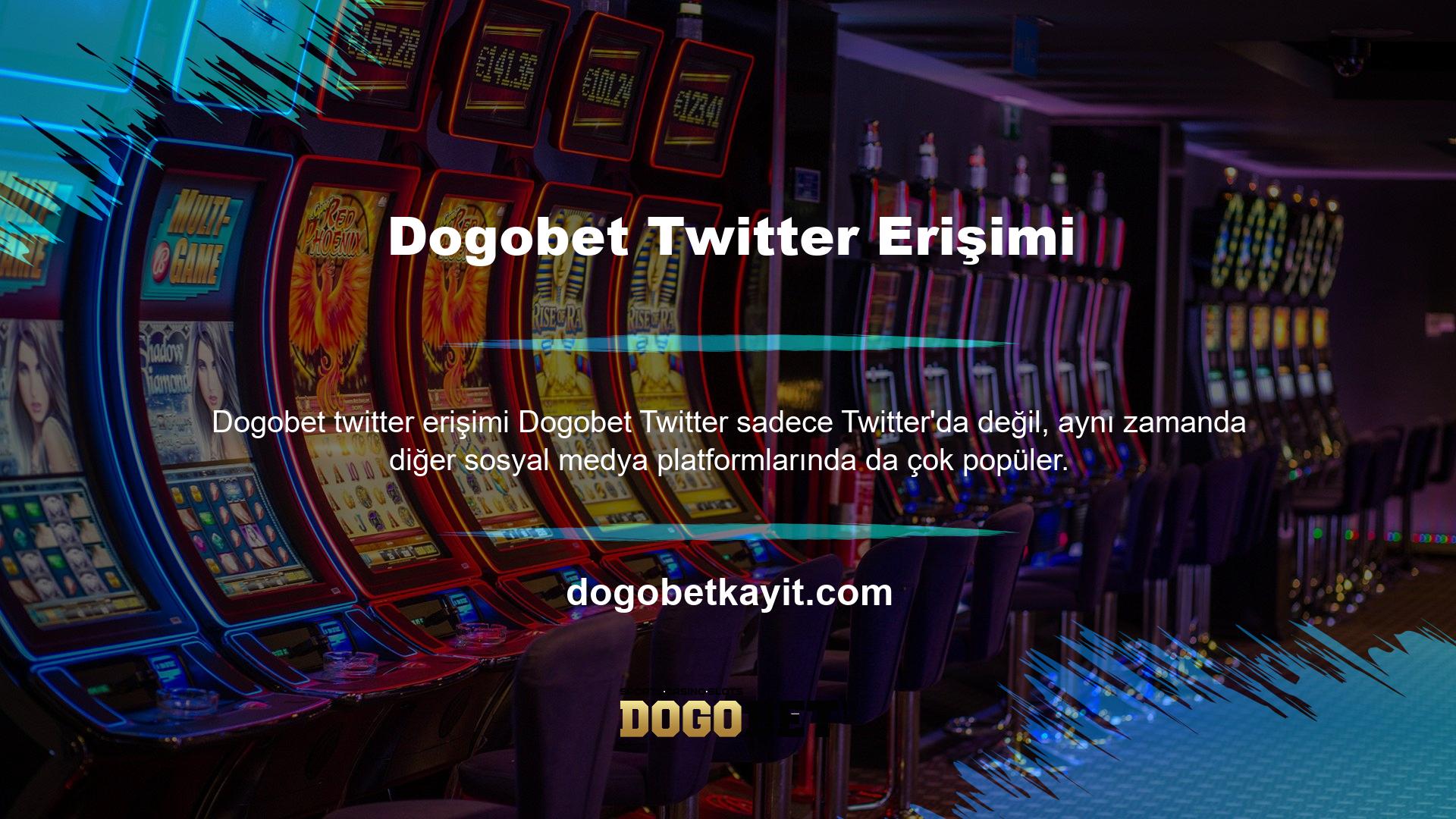 Dogobet şikayeti, Şaşırtıcı bir şekilde, Dogobet şikayeti altındaki verilere göre, değer bahisçileri olumlu getiri alır