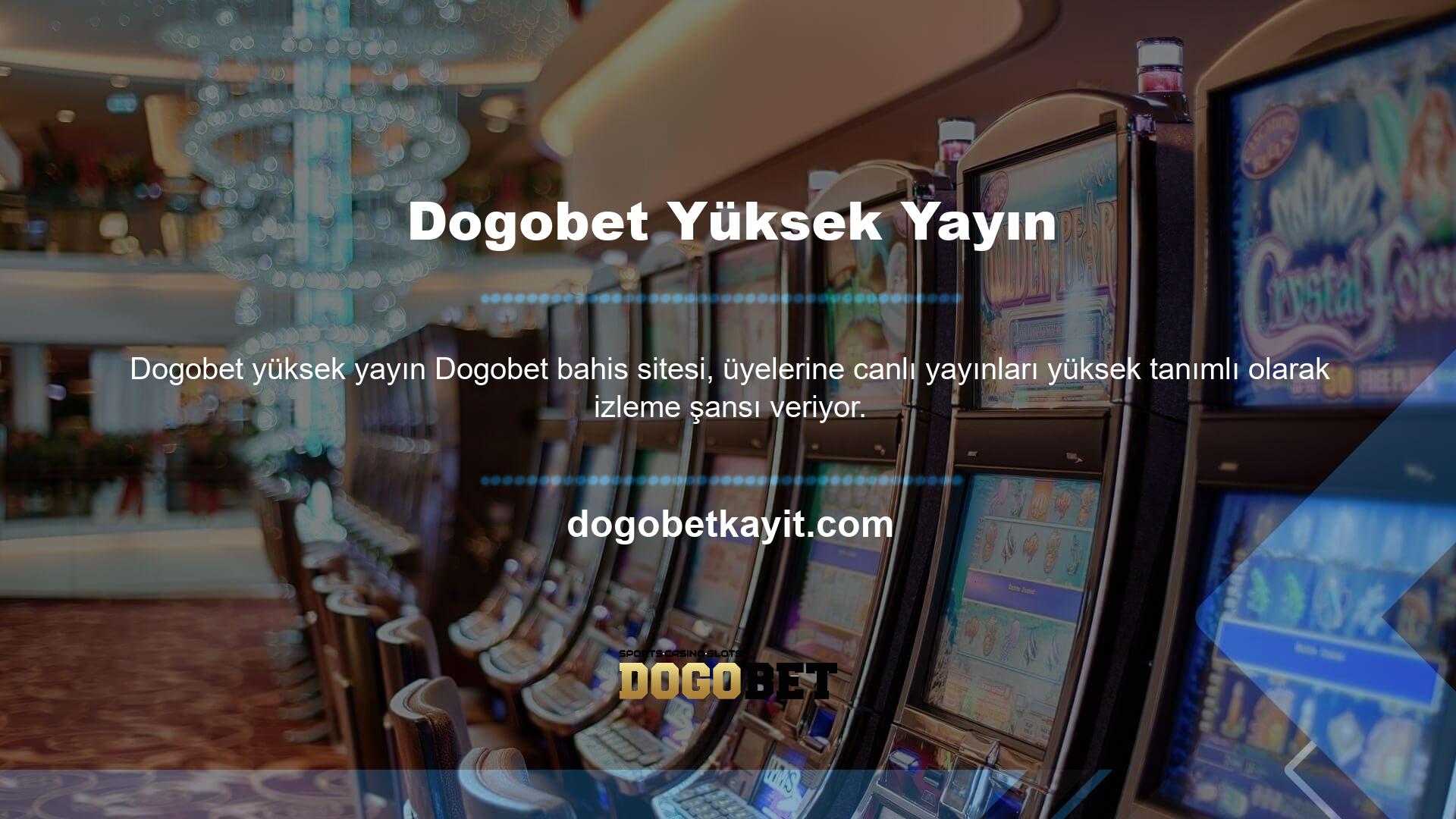 Dogobet kullanan insanlar şirketin eşyalarının kalitesini gerçekten seviyor